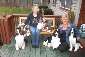 Below is a sample search of our english springer spaniel breeders with puppies for sale. Top Springer Spaniel Breeders Off 62 Www Usushimd Com