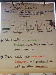 Food Chain Anchor Chart Foodchain Producer Consumer 2ndgrade Science Anchor Charts First Grade Science Science Lessons