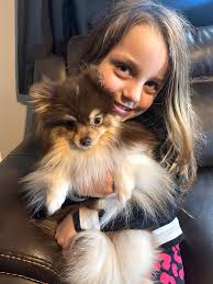 Mocha as a baby at 1 pound and Mocha now at 4.8 pounds fully grown! ❤️🥰