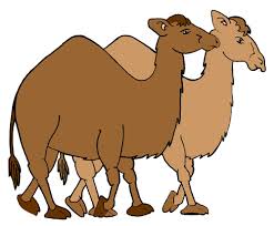 Bright colored silhouette graphics of the asian animal. Clip Art Camel Clipart 2 Image Wikiclipart