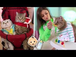 Kedilerime Bir Gun Boyunca Bebek Gibi Davrandim Gulmekten Karnim Agridi Youtube 2020 Kedi Bebek Youtube