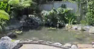 7 day pond re build pond water features water features pond
