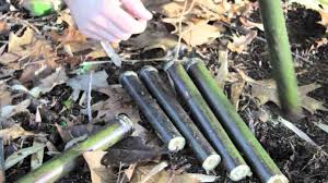 Fabriquer Ses Instruments De Musique La Flute De Pan Youtube