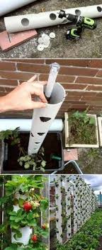 Don't see your favorite business? 270 Pest Control Ideas Pest Control Pests Garden Pest Control