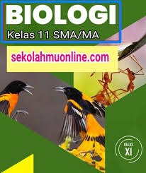 Proteins and protein structure biology doodle diagram biology notes protein biology biology 24 Soal Pilihan Ganda Jawabannya Biologi Kelas 11 Bab 1 Struktur Dan Fungsi Sel Sekolahmuonline Com Sekolahmuonline