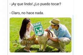 Sus partidos, refuerzos, jugadores y más. Los Memes De La Derrota De Atletico Nacional 1 3 Contra Depotivo Cali Futbol Colombiano Liga Betplay Futbolred