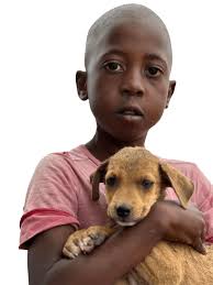 ARRC Animal Relief Home