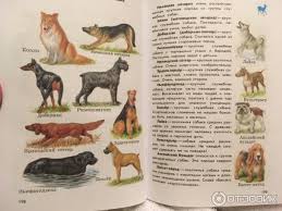 атлас определитель от земли до неба 1 класс купить Otzyv O Atlas Opredelitel Dlya Nachalnyh Klassov Ot Zemli Do Neba A A Pleshakov Nasha Nastolnaya Kniga