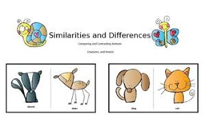 Perfect for the classroom, for after school, or for camps. Similarities And Differences Worksheets Teaching Resources Tpt