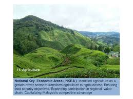 Among the programmesare the national transformation. Economic Transformation Programme Malaysia