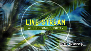 Triumphal entry on palm sunday. Palm Sunday Live Stream Motion Graphics Videos2worship