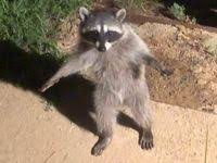 The power is literally in your hands. 32 Best Photos To Airdrop To Random Strangers Ideas In 2021 Stupid Memes Mood Pics Funny Memes