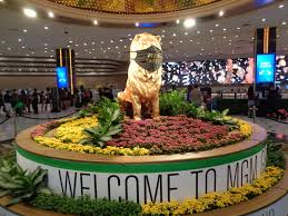 View photos, reviews & more. Mgm Grand Leo The Lobby Lion Changes Vegaschanges