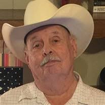 Lynn Stockman's Instagram, Twitter & Facebook