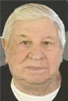 Louis Reges Obituary (1934