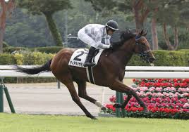 ｄメニューニュース - News update