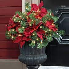 Check spelling or type a new query. Lighted Pre Lit Cordless Poinsettia Urn Filler Christmas Greenery Outdoor Decor Poinsettia Urn Fille Christmas Urns Christmas Tree In Urn Christmas Urn Fillers
