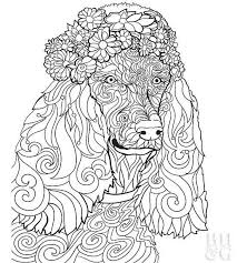 13,700 likes · 3,532 talking about this · 139 were here. Here Are 24 Free Pet Coloring Pages To Help You Relax Dog Coloring Page Animal Coloring Pages Puppy Coloring Pages