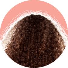 When your hair is damaged, dry, or chemically treated, the outer layer of the strand (called the cuticle) rises, allowing for moisture to enter the strand, fatten it up, and create. A Guide To Damaged Hair And 15 Ways To Fix It