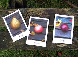 Fruit Vegetables Vocabulary Flash Cards Love The Style And Real Life Image Vocabulary Flash Cards Printable Flash Cards Flash Cards Free