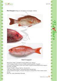 It is also called walleye pollock and is widely distributed in the north it has been said to be 'the largest remaining source of palatable fish in the world'. Red Snapper Bengali Name Analasopa