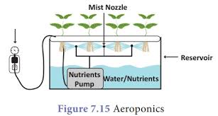 We did not find results for: Aeroponics