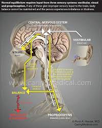 When Persistent Post Concussion Syndrome Turns Into A Neurologic Mystery Caring Medical Florida