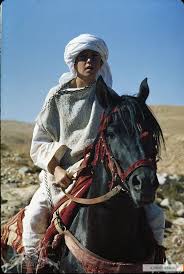 It offers every amended glory possible in any sexual relationship q: Pin By Stephanie S On Fave Movies Horse Movies Black Stallion Movie Horse Love