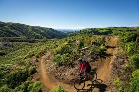 He promoted pig farming, and he kept dairy cows and grew potatoes and grain on his estate. Bmx In Bledisloe Park