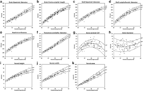 normative biometry of the fetal brain using magnetic