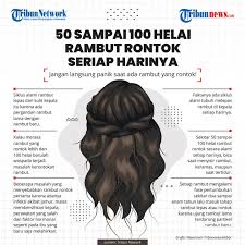 Rambut rontok biasanya terjadi karena rambut terasa lebih kering. Infografis Fakta Jumlah Rambut Rontok Setiap Hari Foto 1 1858087 Tribunnews Com Mobile