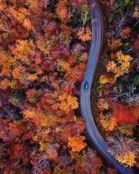 A Travel Guide To Fall Leaves In Vermont Best Spots To See Fall Foliage Vermont Fall Fall Road Trip Fall Foliage