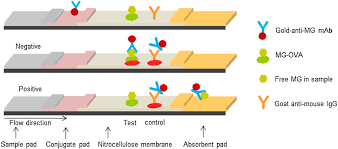 The only sample available is their white vein so if you want to try any other strains you'll have to go somewhere else with options like emerald. Development Of An Immunochromatographic Strip Incorporating Anti Mitragynine Monoclonal Antibody Conjugated To Colloidal Gold For Kratom Alkaloids Detection Limsuwanchote 2018 Drug Testing And Analysis Wiley Online Library