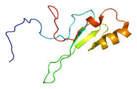 Methyl Cpg Binding Domain Wikipedia