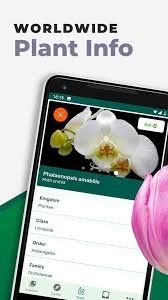 Plant identification ++ is another plant identifier app that's free to use with an optional premium subscription. 16 Best Plant Identification Apps For Android Ios Free Apps For Android And Ios