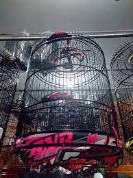 He almost never puts the camera down. Bnr Racing Mewah Dan Megah Produk Ori Bnr Shopee Indonesia