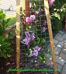 Clematis Rankgitter Kletterhilfe Selbst Gebaut Clematis Rankgitter Rankhilfe Selber Bauen