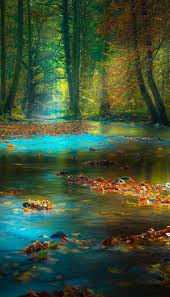 blog para amantes do campo casas de campo interiores rusticos alimentacao saudavel animais mo ideias de paisagismo lindas paisagens fotografia de paisagem casas de campo
