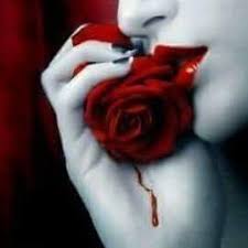 Jual tanaman mawar merah tanpa duri bibitbunga com. Mawar Merah Berduri Emaaainn Twitter