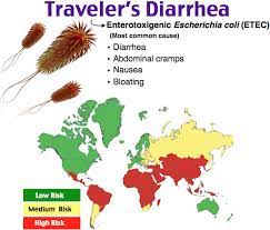 Rosh Review Pediatric Nursing Icu Nursing Traveler Diarrhea