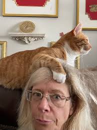 Nicely put Frank! 😂🤣😂👍