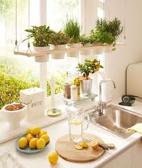 1001 Suggestions De Plante D Interieur Originale Et Difficile A Tuer Cuisines Deco Plantes De Cuisine Decoration Etageres