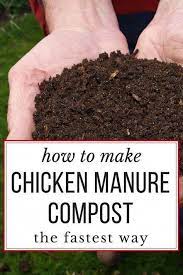How To Compost Chicken Manure In Just 18 Days Chicken Manure Chicken Manure Compost Manure Composting