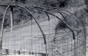 Ferrocement Roof Structure Roof Structure Diy Roofing Roof