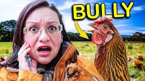 Scott Sechler Raising Chickens without Antibiotics for 20 Years