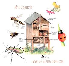 Auxiliaires Au Jardin Hotel A Insectes Jardin Pour Enfants Jardin Naturel