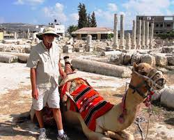 Do camels have 4 knees and 4 elbows? Camel Knees Braman S Wanderings