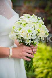 Bencentre 12 white & greenery wedding bouquet fabric austin rose mix artificial flowers, bridal bouquet for wedding ceremony anniversary, bridal. A Bride Holding The Wedding Bouquet In Her Hands Made Of White Roses And Green Chrysanthemum Tetiana Volkohon Larastock