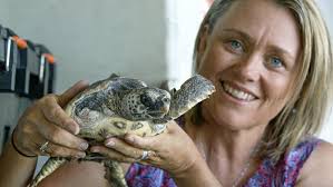 Lost turtles returned home to Ningaloo