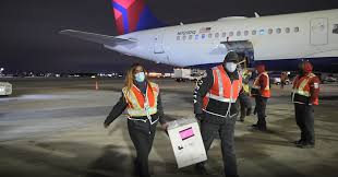 Check in online or from the app starting 24 hours and up to 45 minutes before your domestic flight. Delta Delivers Covid 19 Vaccine Shipments As Part Of Global Effort To Beat Pandemic World Airline News
